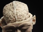 Религиозность связана с уровнем IQ