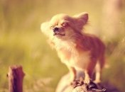 В ближайшие сутки к украинцам вернется летнее тепло