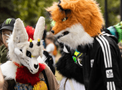 Представники субкультури фурі