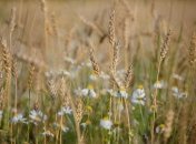 Лето закончится рано: какой будет погода в Украине в августе