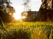 Прогноз погоды на 22 мая: в Украине потеплеет до +30 градусов