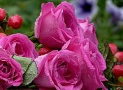 Приметы и обряды на 18 июля - День Афанасия Афонского