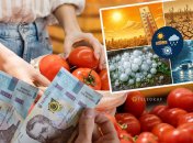 В Украине стоимость главного овоща лета летит вниз