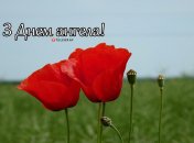 Разобрались, кого поздравляем с Днем ангела 3 июня