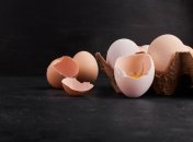 Скорлупа яиц пригодится в дачных целях