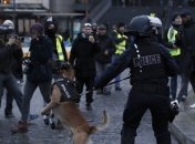 Во Франции на акции протеста "желтых жилетов" задержали более 30 человек