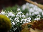 В Україні прогнозують дощ із грозами