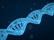 Ученые нашли возрастные различия в фрагментах ДНК в крови