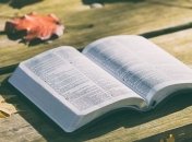 Подборка осеннего чтива для уютных вечеров