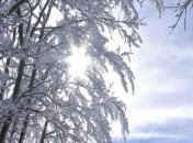 Зимняя погода продержится до конца февраля