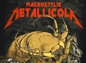 Глибоководне створіння назвали в честь гурту Metallica