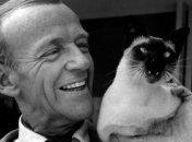 Все любят котиков: знаменитости и их пушистые друзья (Фото)