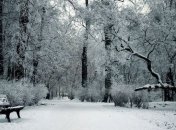 Погода в Украине на 6 января: мороз спадает, мокрый снег