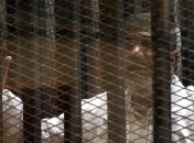 Процесс против Мурси по делу о шпионаже приостановлен  