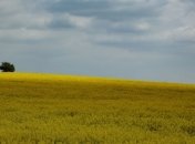 Прогноз погоды на 3 июля: в Украине будет прохладно 