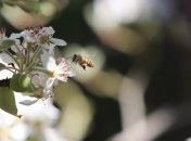 Никитин день: народные поверья и приметы на 16 апреля