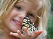 18 детских садов столицы и Киевской области действовали незаконно