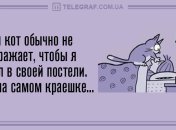 Поделись своей улыбкой: утренние анекдоты 25 июля