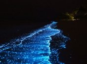 Необыкновенно светящийся пляж на Мальдивах, каким его можно увидеть только ночью (Фото)