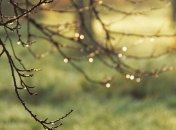 На Украину обрушится шторм: прогноз погоды на 13 октября