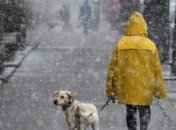 Синоптик рассказала, где ожидать дождей и снега в выходные