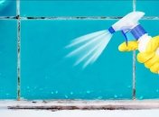 Эти хитрости отлично подходят для удаления стойких пятен плесени