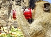 Активным любителям колы грозит мышечный паралич