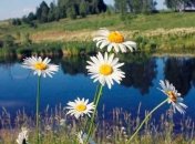 Прогноз погоды в Украине 4 июля: солнечно, местами пройдут дожди