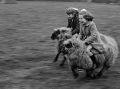 Улыбка до ушей: детская искренность и животное очарование в милых снимках 