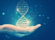 В клетках человека выявили необычные структуры ДНК