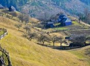 Порошенко подписал закон: села могут присоединяться к большим городам