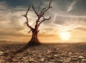 Климатологи заявили о вине аэрозолей в учащении засух в тропиках