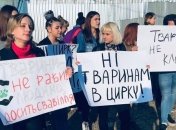 "Животные - не клоуны": черновицкие активисты провели акцию против цирка-шапито