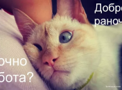 Засыпать, зная, что завтра никуда не нужно идти — божественно: веселые шутки про выходные