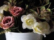 5 причини, чому кімнатні рослини погано ростуть