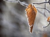 Грозы и мокрый снег: чем "порадует" нас конец ноября