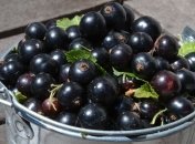 Медики назвали снижающее кровяное давление ягоды