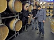 Помидоры и красное вино помогут избежать рака крови