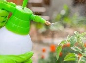 От тли не останется и следа