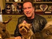 Урок мытья рук для Черри: Арнольд Шварценеггер поделился милым видео