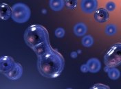 Ученые обнаружили молекулярные часы, прогнозирующие рак