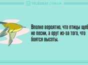 Хорошее настроение обеспечено: анекдоты на день 18 апреля