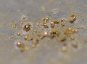 Существует бактерия, производящая чистое золото