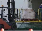 Коронавирус не повлияет на проведение Олимпиады в Токио