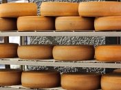 Названы скрытые опасности твердого сыра