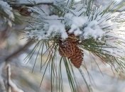 Останні дні січня знову підготували для українців погодні сюрпризи