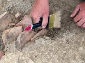 В Турции найдено самое древнее орудие труда