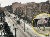 Интересная информация