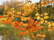 19 ноября. Приметы дня