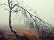 Праздник 24 октября: народные приметы и запреты